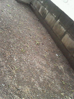 200608121746000.jpg