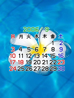 imug030606.jpg