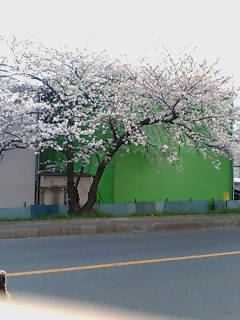 20070329153909.jpg