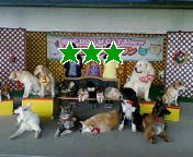 20070505153353.jpg