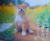 20070505163602.jpg