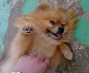 20070505110857.jpg