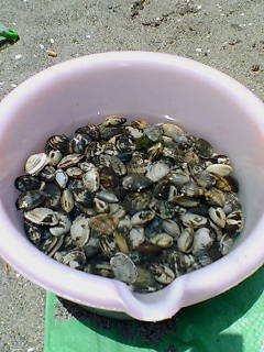 20070617122245.jpg