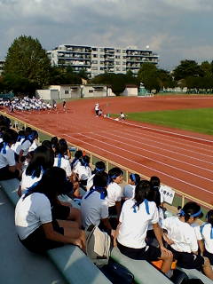 20071018135756.jpg